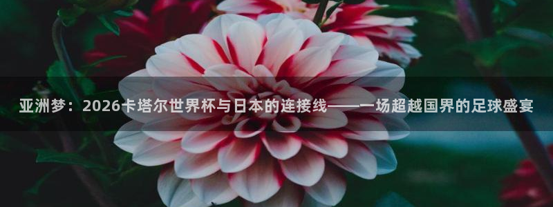 2026世预赛赛程表:亚洲梦:2026卡塔尔世界杯与日本的连接线——一场超越国界的足球盛宴