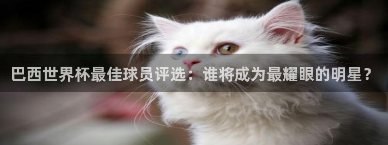 世界杯比赛赛程:巴西世界杯最佳球员评选:谁将成为最耀眼的明星?