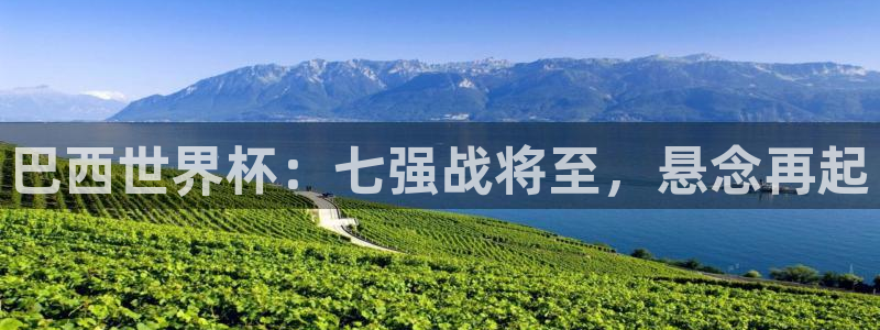 男足世界杯预选赛赛程:巴西世界杯:七强战将至,悬念再起