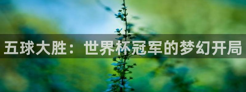 2026年世界杯对阵图:五球大胜:世界杯冠军的梦幻开局
