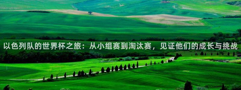 世界杯预选赛欧洲赛区赛程:以色列队的世界杯之旅:从小组赛到淘汰赛,见证他们的成长与挑战