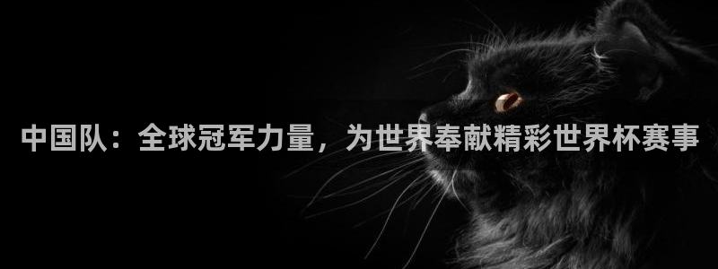 世界杯附加赛赛程表:中国队:全球冠军力量,为世界奉献精彩世界杯赛事