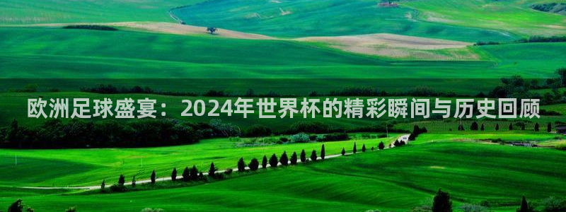 2026世界杯亚洲区预选赛赛程:欧洲足球盛宴:2024年世界杯的精彩瞬间与历史回顾